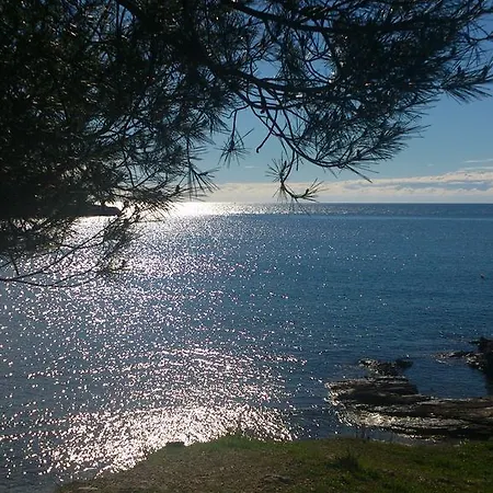 Bed & Breakfast Banjole