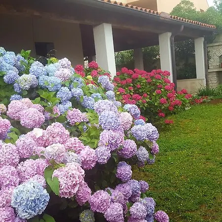 Bed & Breakfast Banjole