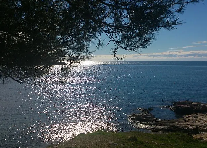 Bed & Breakfast Banjole