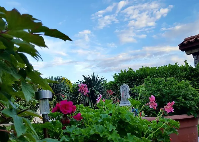 Bed & Breakfast Bed & Breakfast Banjole Banjole